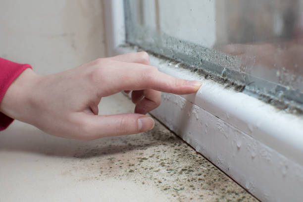 Asbestos and Lead Testing During Mold Inspection in Crystal Lakes, OH