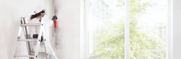Best Comprehensive Air Testing for Mold Contaminants  in Crystal Lakes, OH